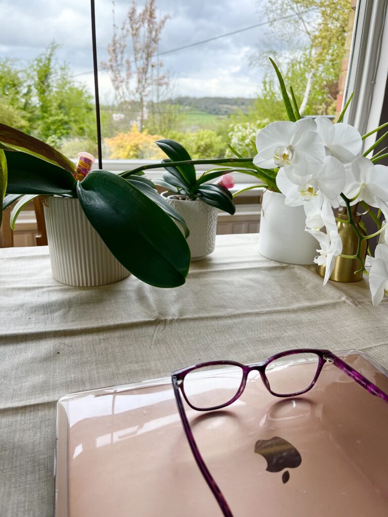 laptop and glasses, with plants and a window in the background